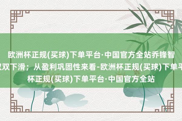 欧洲杯正规(买球)下单平台·中国官方全站乔锋智能营收、净利润双双下滑；从盈利巩固性来看-欧洲杯正规(买球)下单平台·中国官方全站