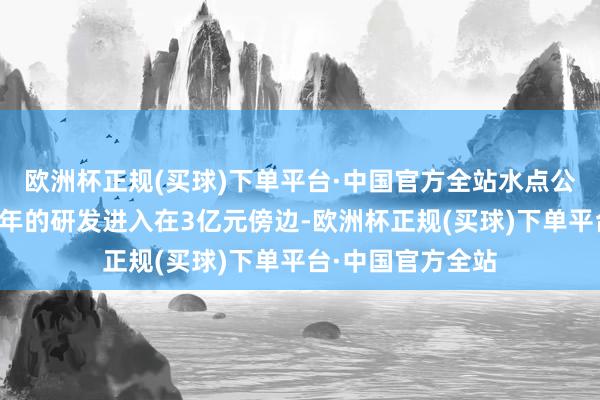 欧洲杯正规(买球)下单平台·中国官方全站水点公司从创立以来每年的研发进入在3亿元傍边-欧洲杯正规(买球)下单平台·中国官方全站