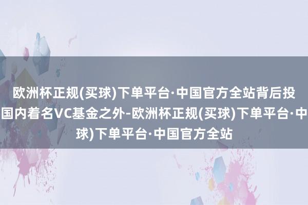 欧洲杯正规(买球)下单平台·中国官方全站背后投资机构除了国内着名VC基金之外-欧洲杯正规(买球)下单平台·中国官方全站