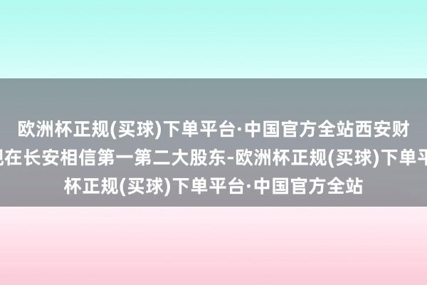 欧洲杯正规(买球)下单平台·中国官方全站西安财金、西安投控系现在长安相信第一第二大股东-欧洲杯正规(买球)下单平台·中国官方全站