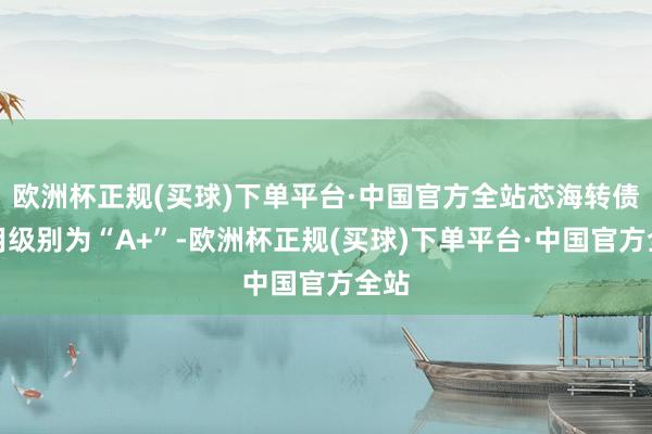 欧洲杯正规(买球)下单平台·中国官方全站芯海转债信用级别为“A+”-欧洲杯正规(买球)下单平台·中国官方全站