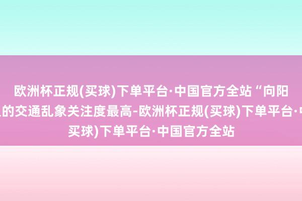 欧洲杯正规(买球)下单平台·中国官方全站“向阳巨匠”对身边的交通乱象关注度最高-欧洲杯正规(买球)下单平台·中国官方全站