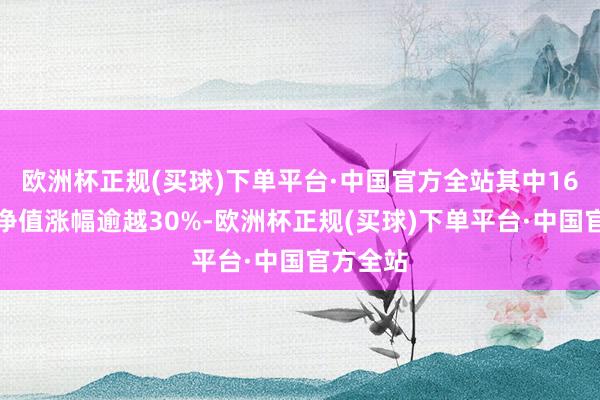 欧洲杯正规(买球)下单平台·中国官方全站其中16只居品净值涨幅逾越30%-欧洲杯正规(买球)下单平台·中国官方全站