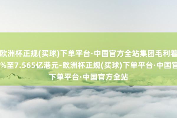 欧洲杯正规(买球)下单平台·中国官方全站集团毛利着落14.1%至7.565亿港元-欧洲杯正规(买球)下单平台·中国官方全站