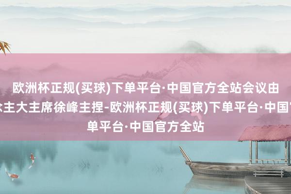 欧洲杯正规(买球)下单平台·中国官方全站会议由乡东说念主大主席徐峰主捏-欧洲杯正规(买球)下单平台·中国官方全站