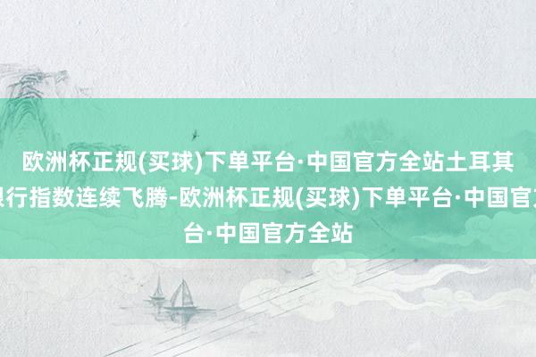 欧洲杯正规(买球)下单平台·中国官方全站土耳其主要银行指数连续飞腾-欧洲杯正规(买球)下单平台·中国官方全站