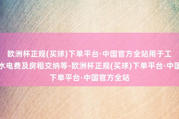 欧洲杯正规(买球)下单平台·中国官方全站用于工资披发、水电费及房租交纳等-欧洲杯正规(买球)下单平台·中国官方全站