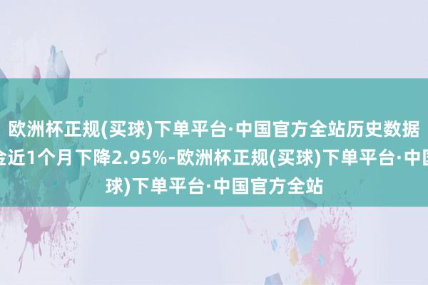 欧洲杯正规(买球)下单平台·中国官方全站历史数据流露该基金近1个月下降2.95%-欧洲杯正规(买球)下单平台·中国官方全站