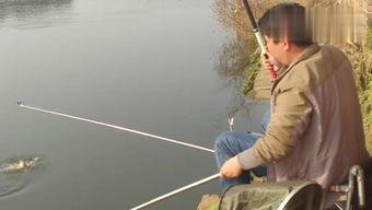 国产路亚钓鱼视频,探寻本土水域的激情与魅力