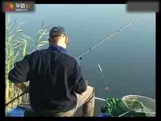 国产路亚钓鱼视频,探寻本土水域的激情与魅力